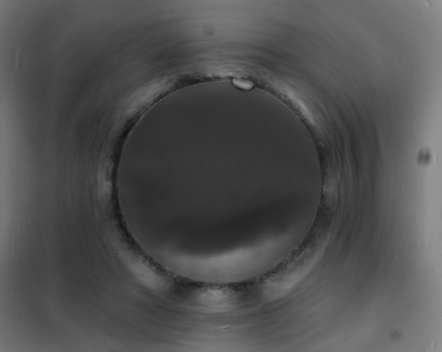 X0000102230402200807251239