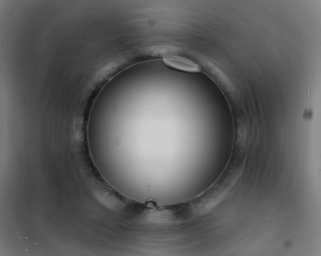 X0000102230403200807251239