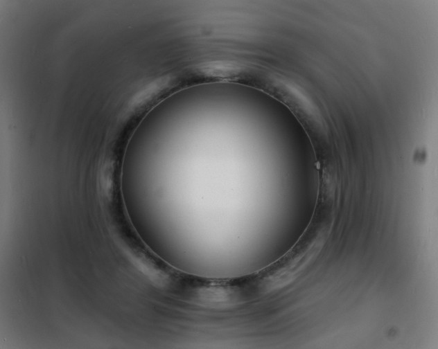 X0000102230404200807251239