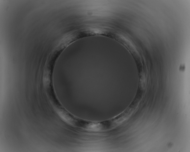 X0000102230410200807251239