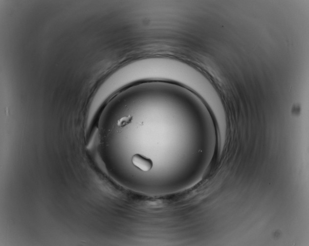 X0000102230411200807251239