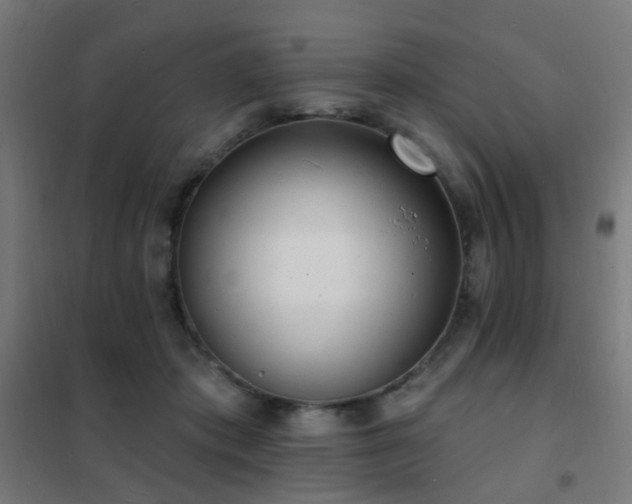 X0000102230413200807251239