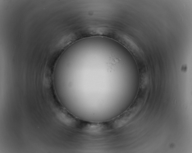 X0000102230414200807251239