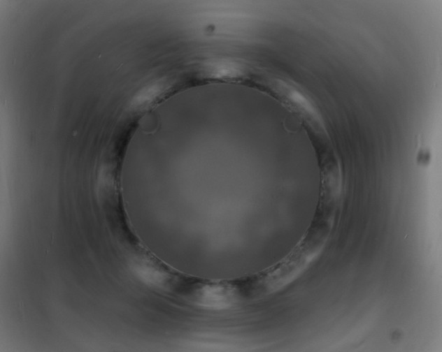 X0000102230415200807251239