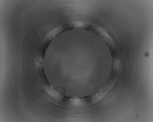 X0000102230419200807251239