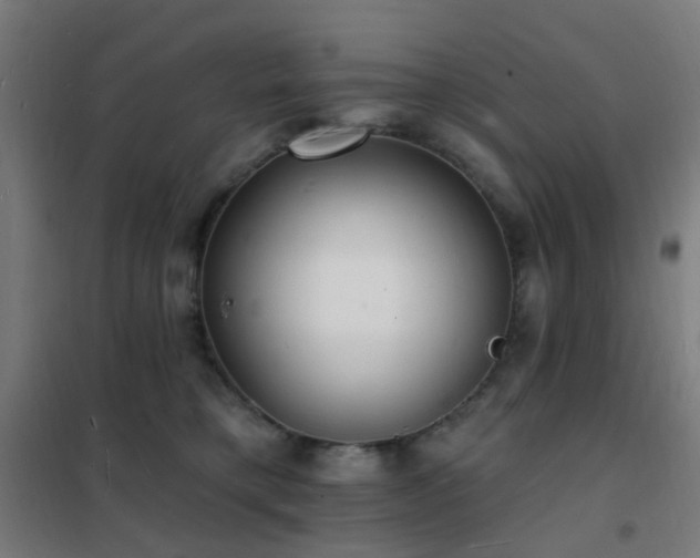 X0000102230421200807251239