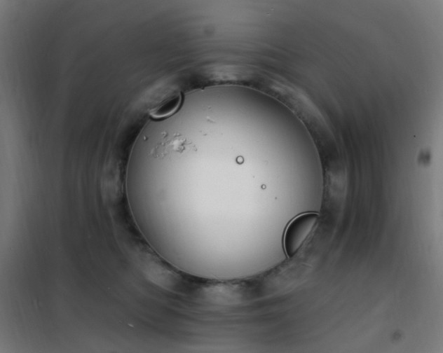 X0000102230422200807251239