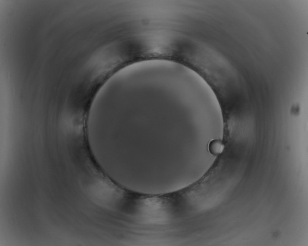 X0000102230423200807251239