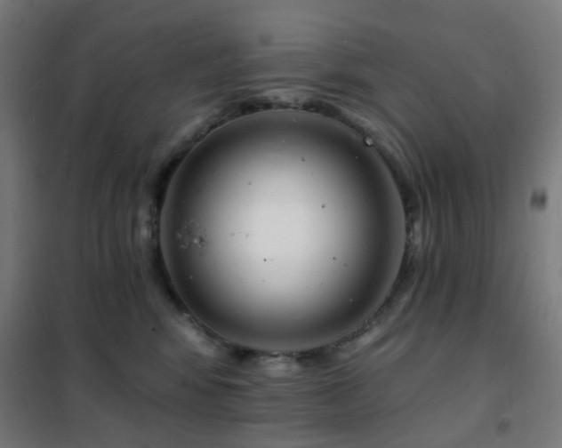 X0000102230424200807251239