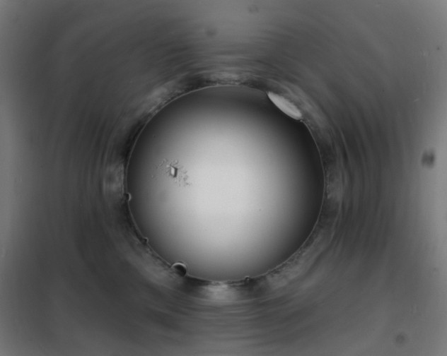 X0000102230425200807251239