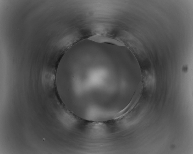 X0000102230427200807251239