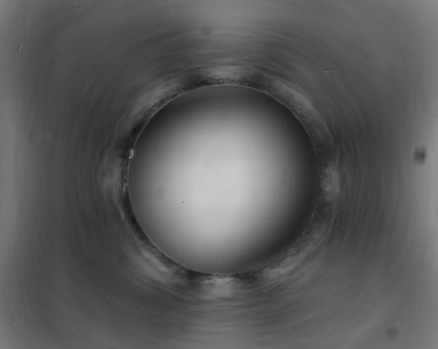 X0000102230428200807251239