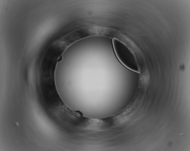 X0000102230429200807251239