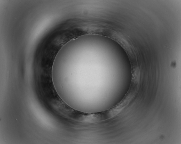 X0000102230430200807251239