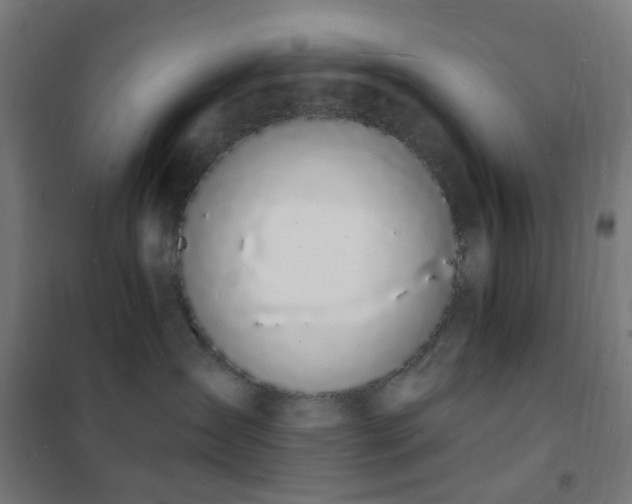 X0000102230431200807251239