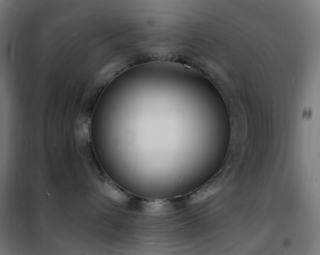 X0000102230432200807251239