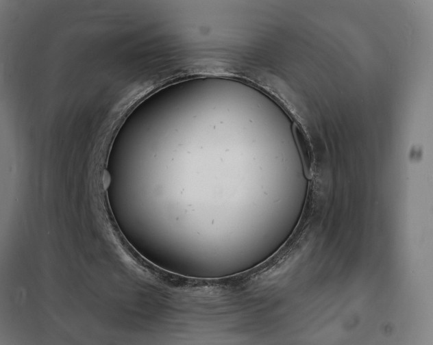 X0000102230433200807251238