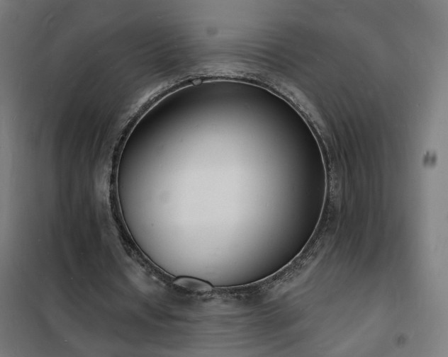 X0000102230434200807251238