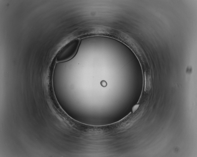 X0000102230435200807251238