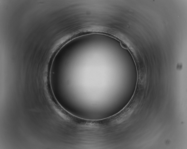X0000102230437200807251238