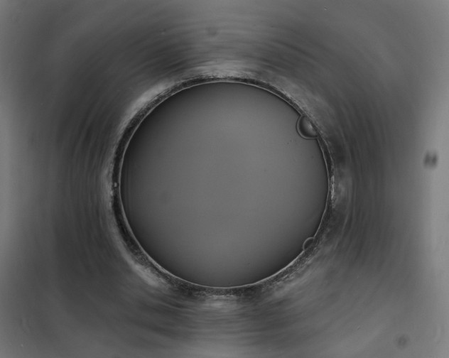 X0000102230438200807251238