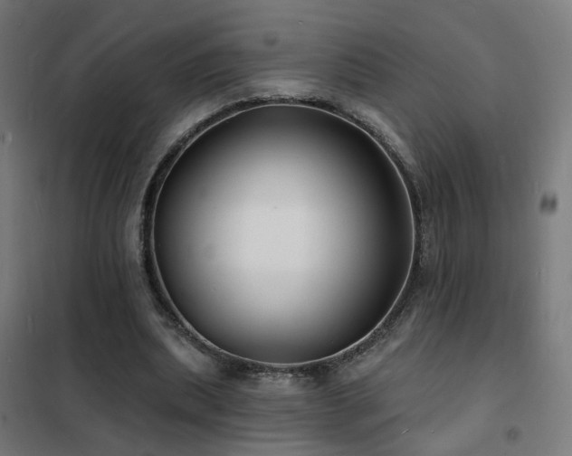 X0000102230439200807251238