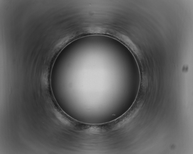 X0000102230441200807251238