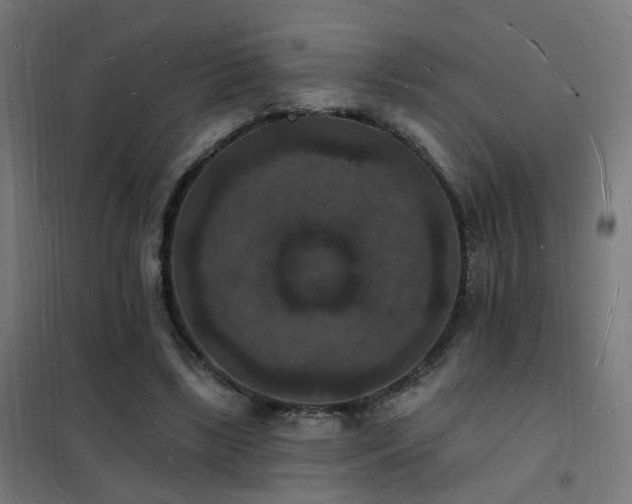 X0000102230443200807251238