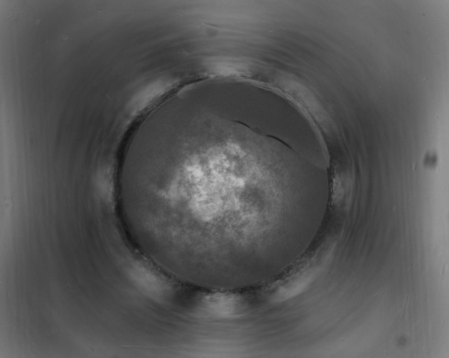 X0000102230444200807251238