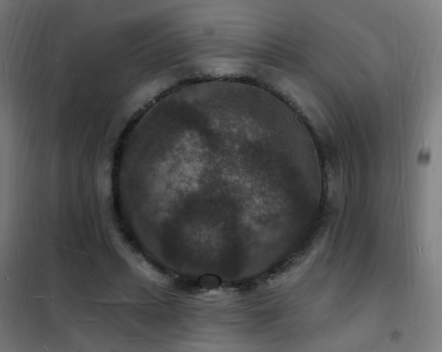 X0000102230447200807251238