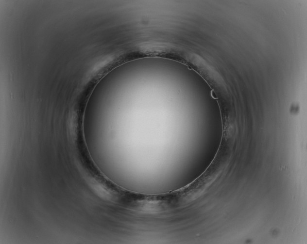 X0000102230448200807251238