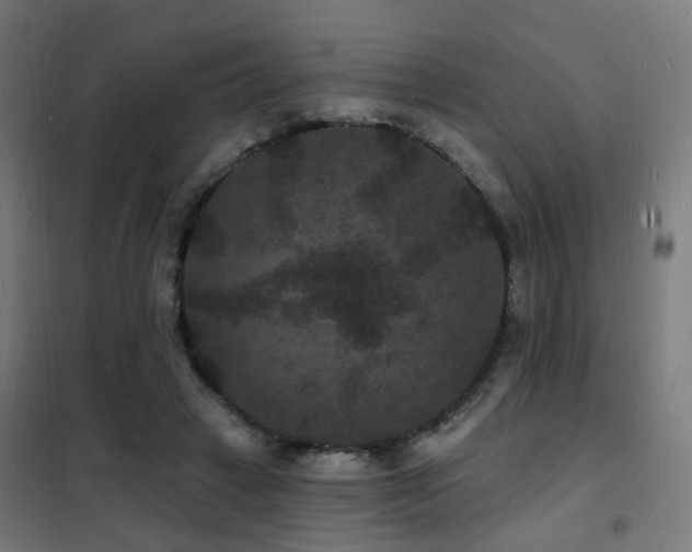 X0000102230449200807251238