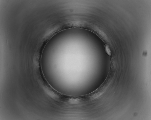 X0000102230450200807251238