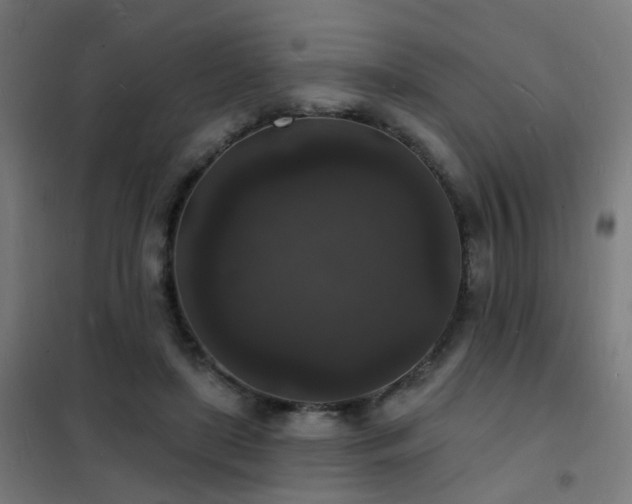 X0000102230451200807251238