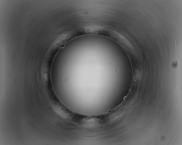 X0000102230452200807251239