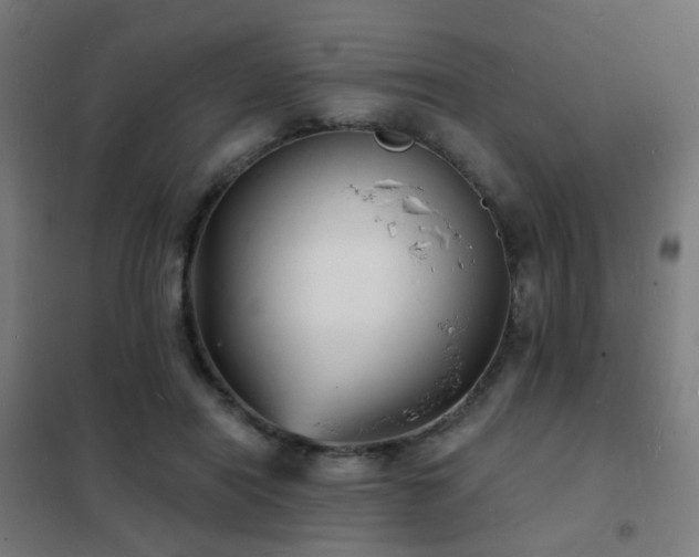 X0000102230454200807251239