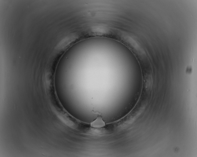 X0000102230455200807251239
