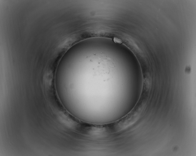 X0000102230458200807251239
