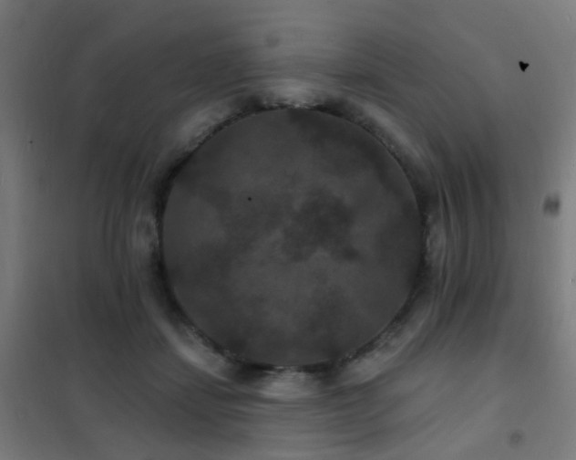 X0000102230459200807251239