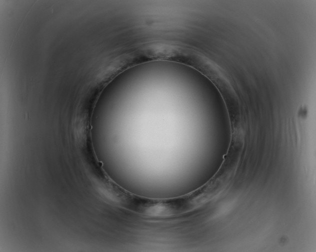 X0000102230460200807251239