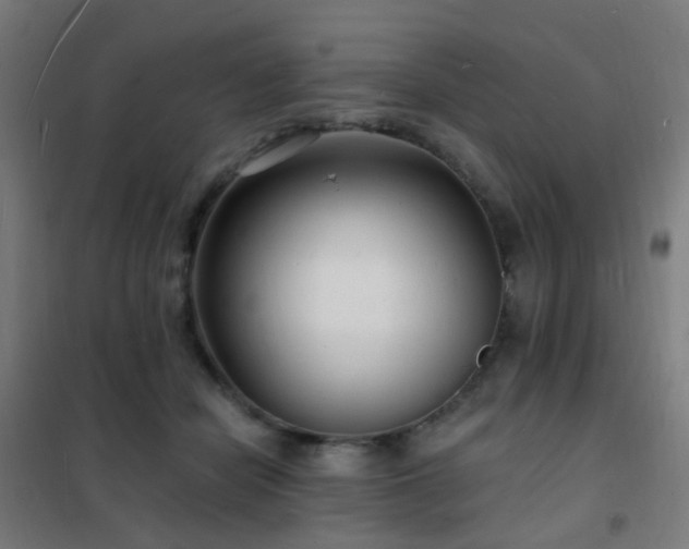 X0000102230462200807251239