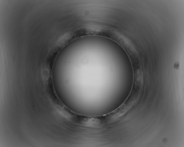 X0000102230463200807251239