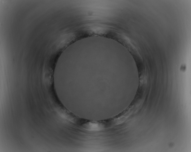 X0000102230464200807251239