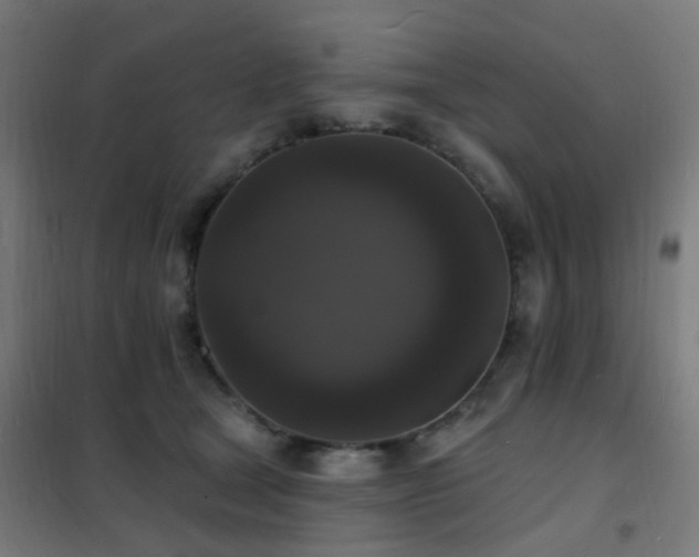 X0000102230465200807251239