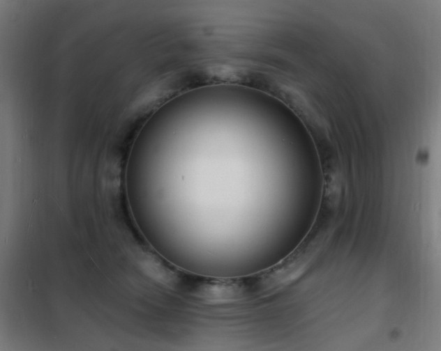 X0000102230466200807251239