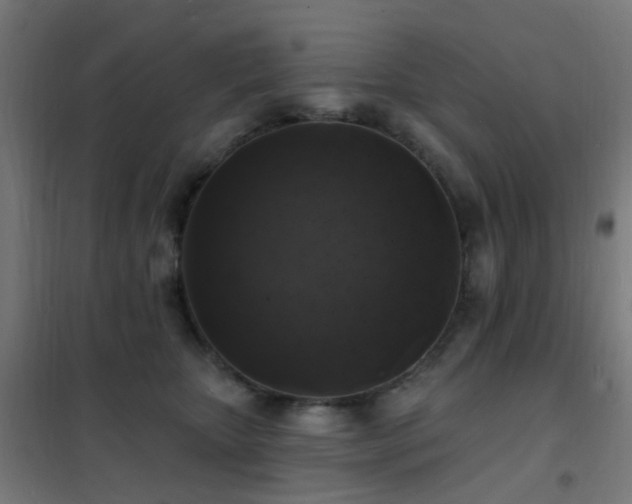 X0000102230467200807251239
