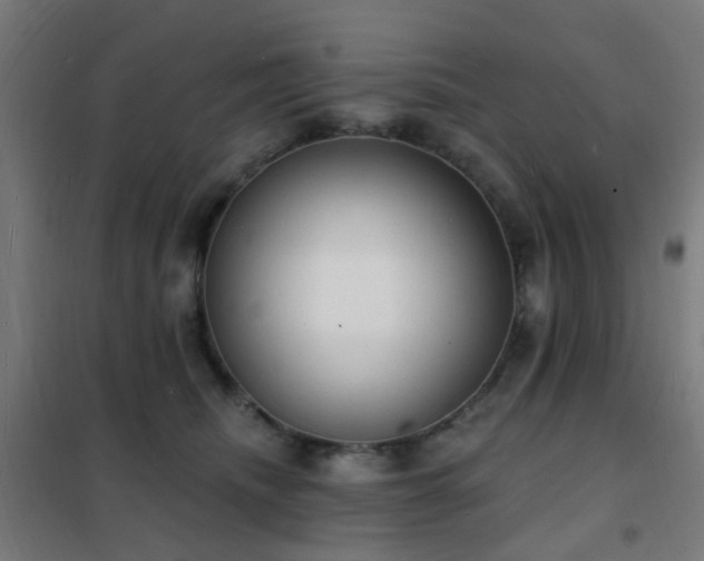 X0000102230468200807251239