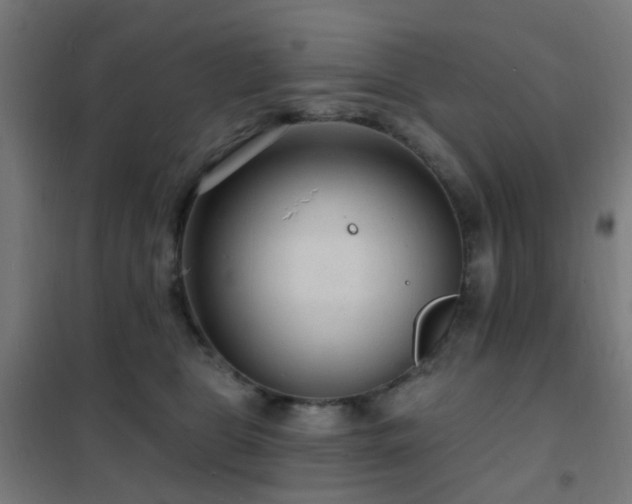 X0000102230469200807251239
