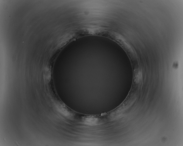 X0000102230471200807251239