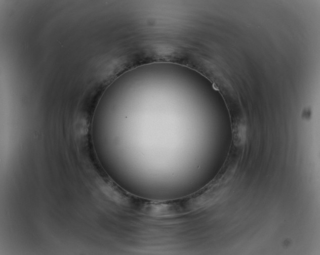 X0000102230472200807251239
